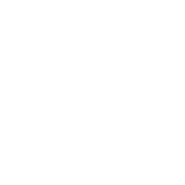 Silicon logo