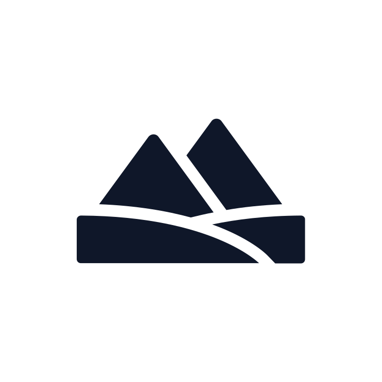 Silicon logo